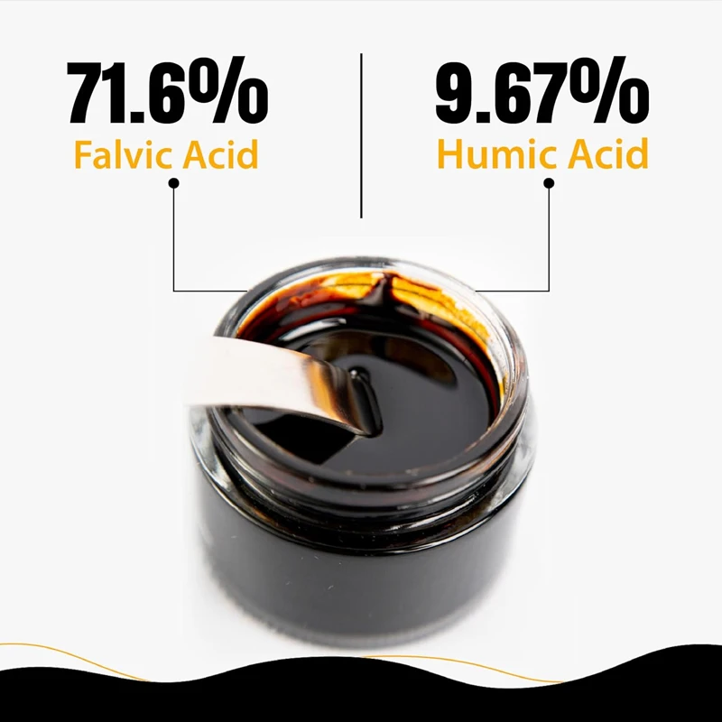 راتنج الشيلاجيت الهيمالايي الن - مراجعة Shilajit Resin Pure وسعره